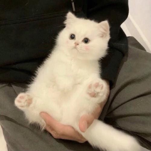 น้องญาญ่า avatar